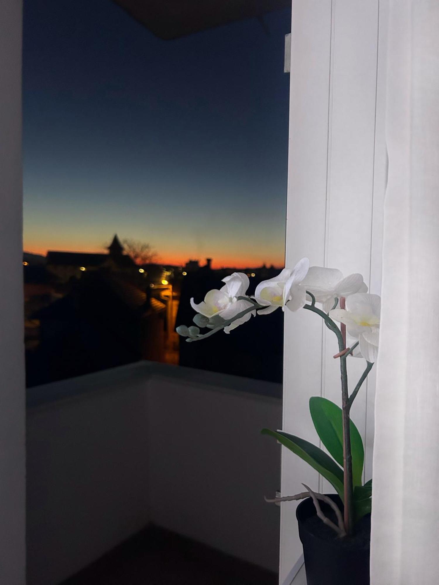 Davcom Studio Fagaras Ngoại thất bức ảnh